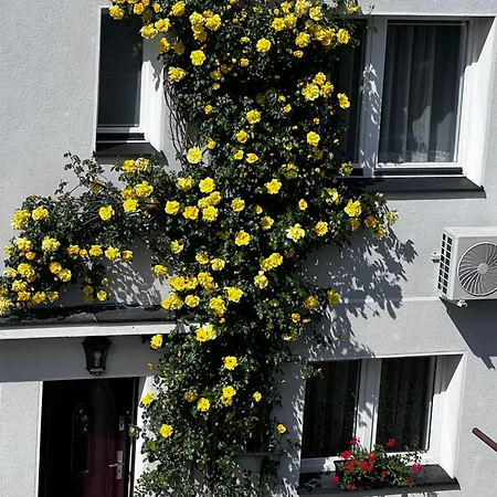 Szyper Piotr Apartment Jastarnia Exterior photo